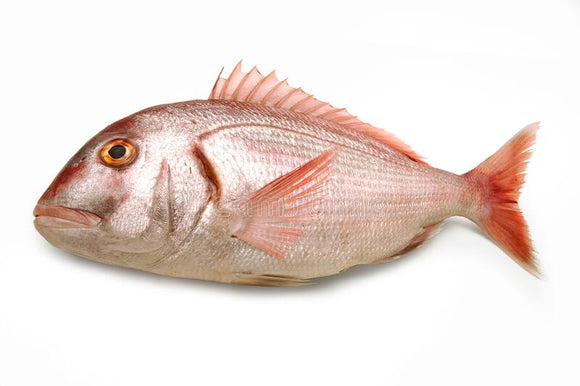 Dorade PETIT